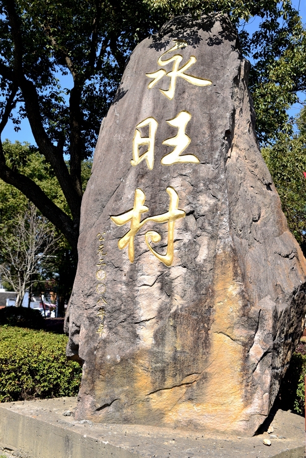 镇海永旺村梅花图片