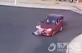 真人不如狗!男子横穿马路被撞,狗狗在旁等待后安全通过