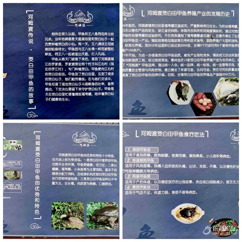 历史文化名村余姚河姆渡镇浪墅桥村