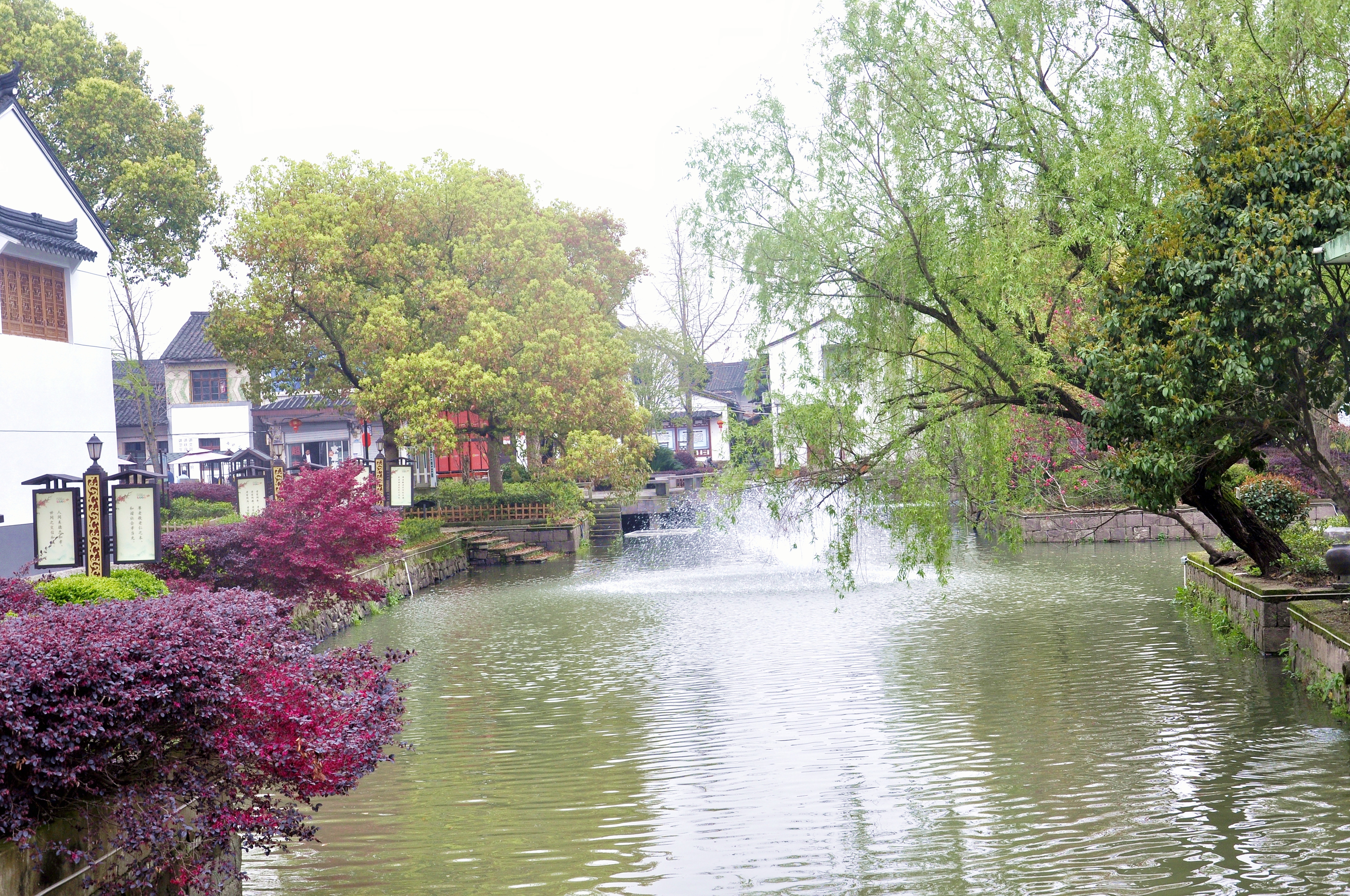 鄞州走马塘风光复制