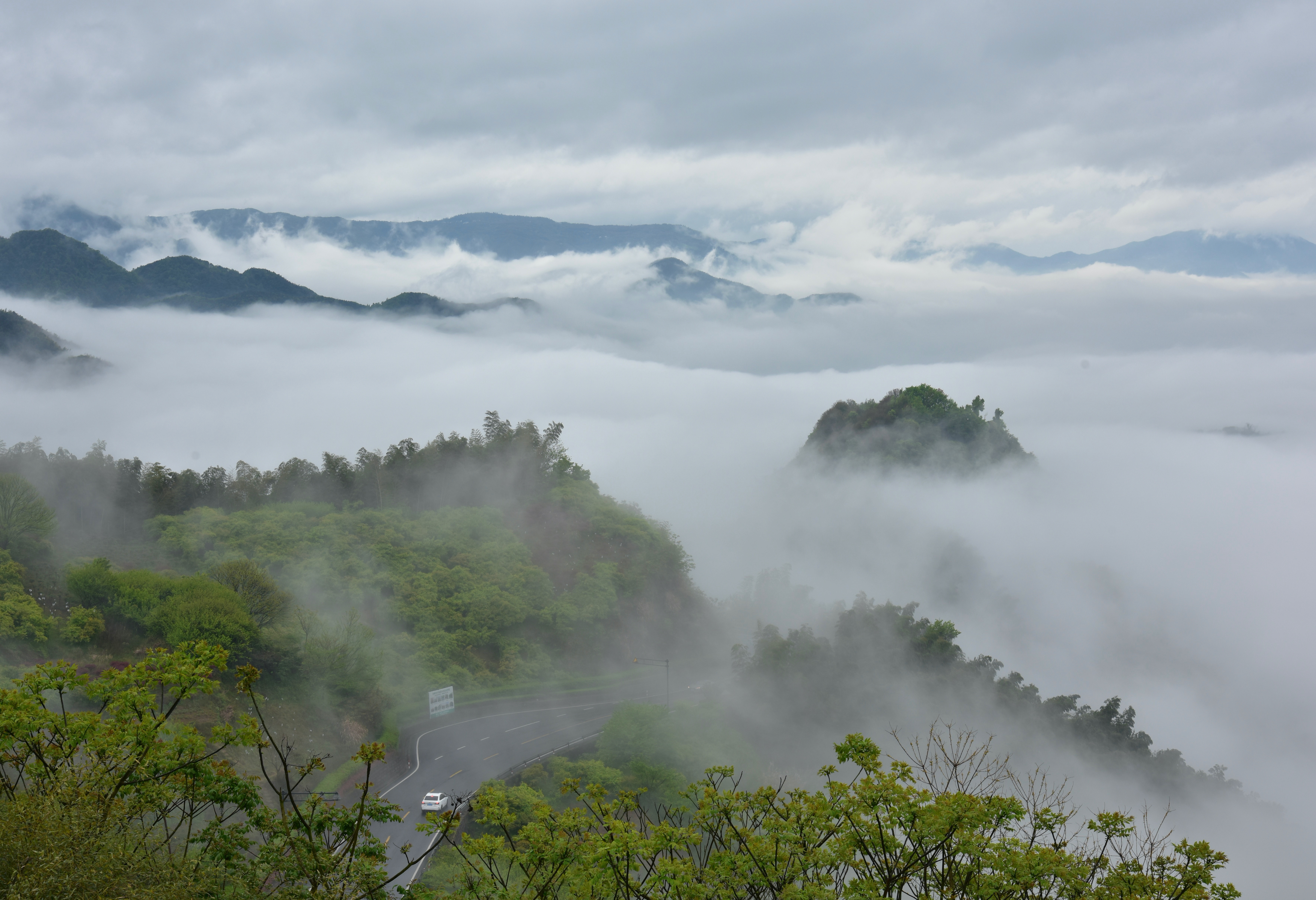 在四明山邂逅云海