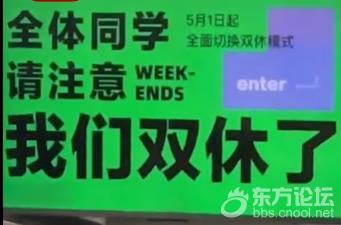 杭州一互联网公司取消大小周实行双休 员工在工位上欢呼