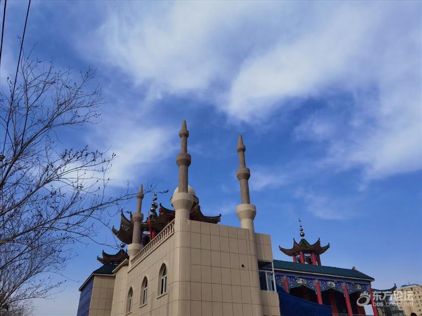 赏花!赏景!风景如画!