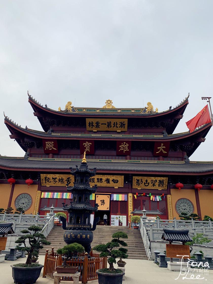 湖州自驾游之与羊驼亲密互动码头赏湖法华寺祈愿