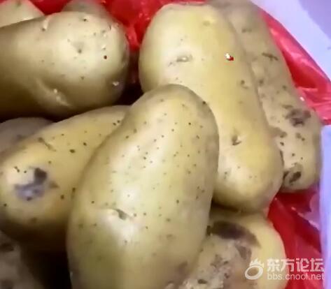 多部门介入调查幼儿园使用变质果蔬