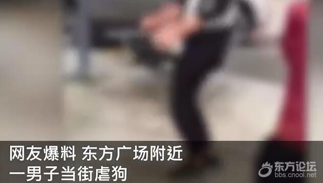 四川自贡一男子当街虐狗