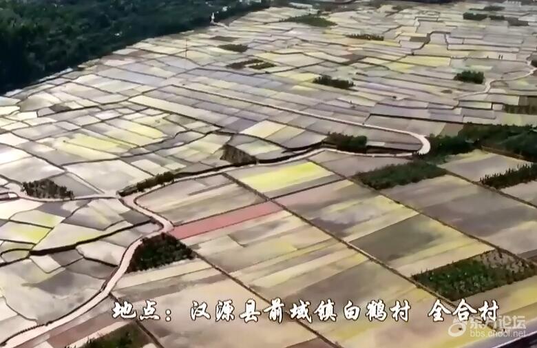 空中俯瞰!四川田园宛如大地调色盘