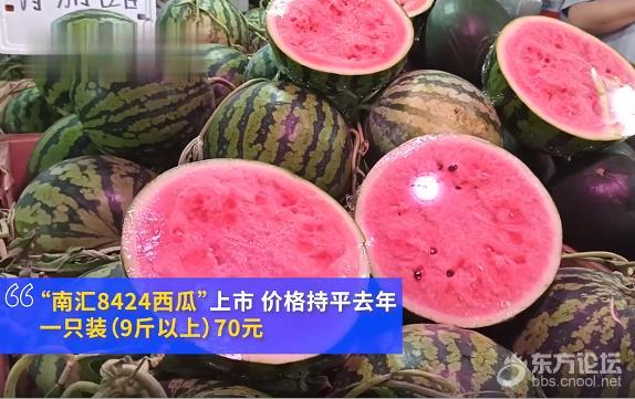 上海8424西瓜上市一只70元,你觉得合理吗?