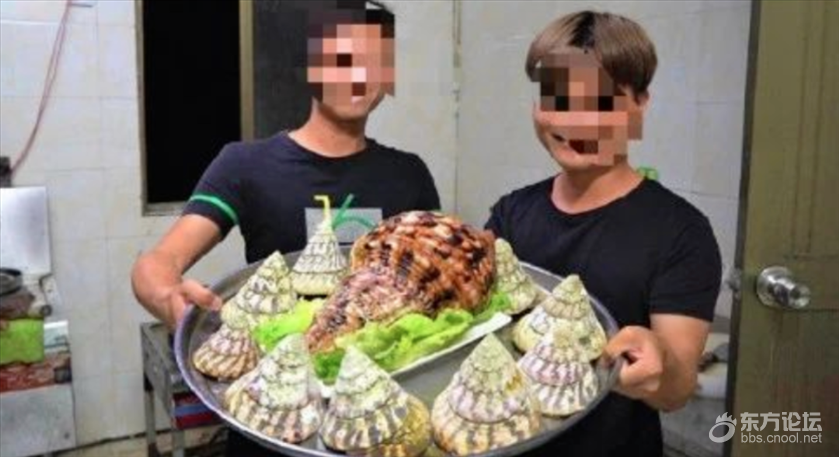 吃了“天价海螺”被刑拘?警方提醒:这种螺千万别碰.