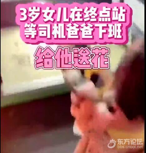 贴心小棉袄!3岁女儿等在公交终点站送花给爸爸