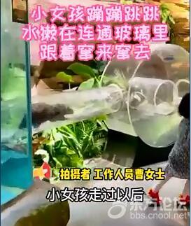 动物园水獭跟着小女孩跑 网友:互相治愈