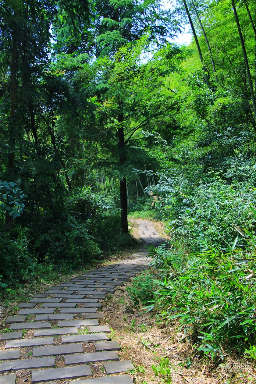 龙观中坡山森林公园- 东论 东方热线·东方论坛-宁波论坛——家长里短