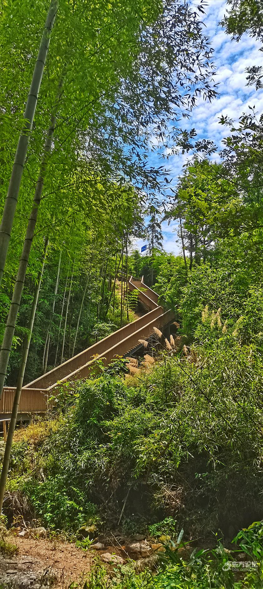 龙观中坡山森林公园