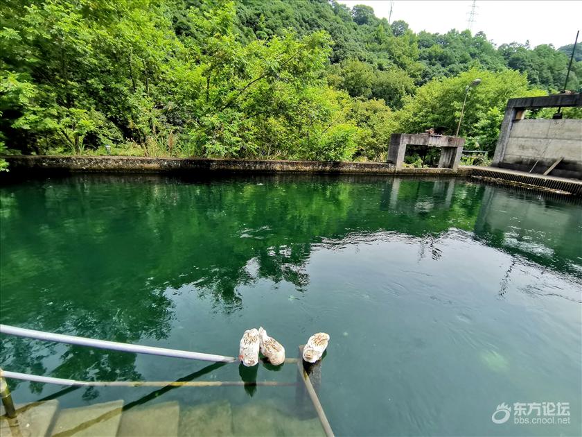 去章水镇下严村杏林湾寻觅清凉地