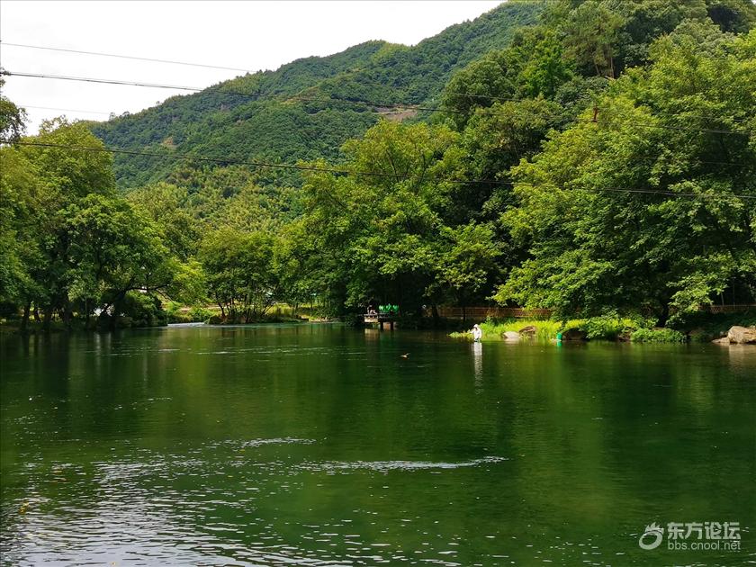 去章水镇下严村杏林湾寻觅清凉地