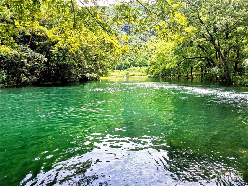 去章水镇下严村杏林湾寻觅清凉地