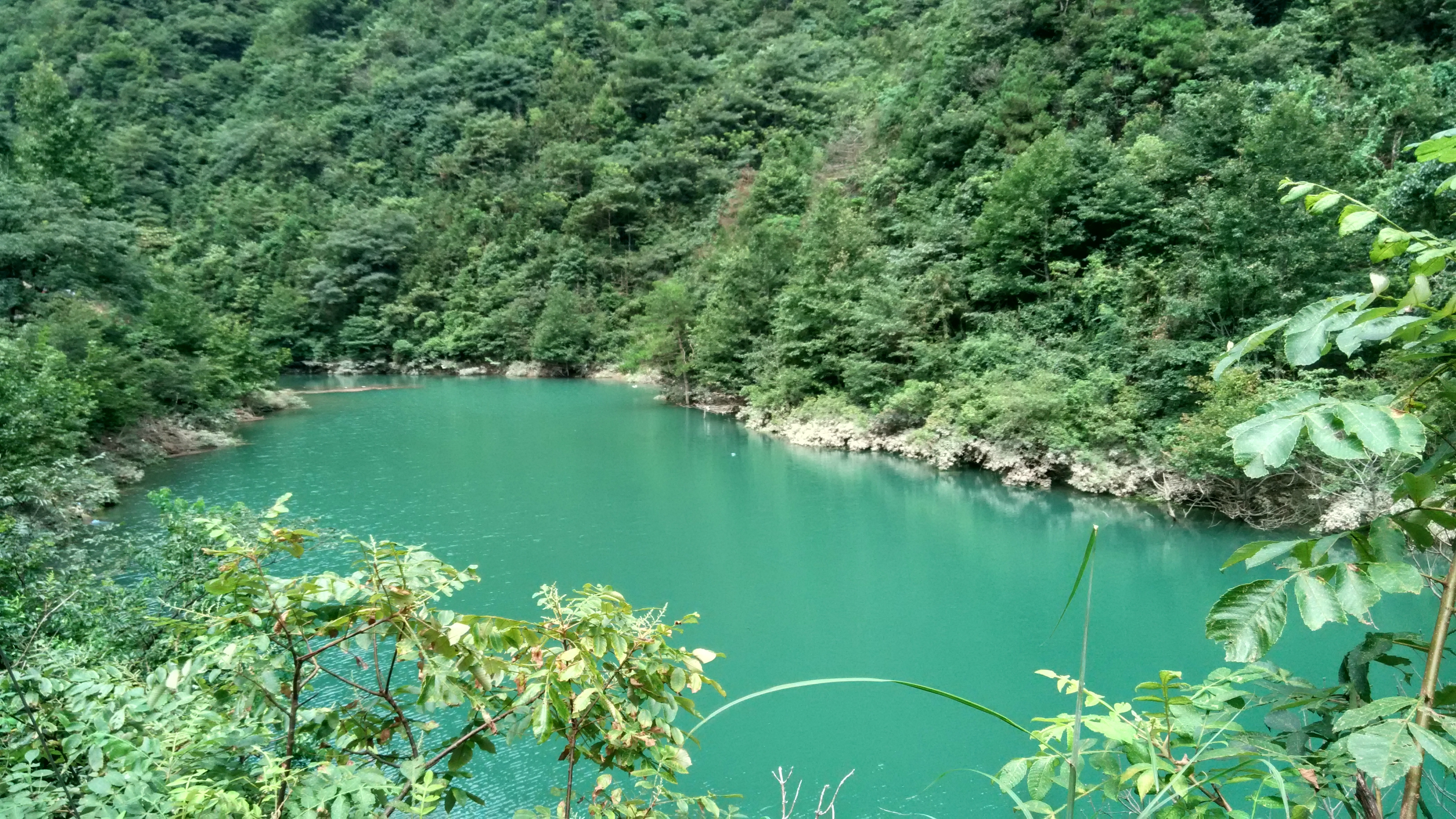 余姚黑龙潭复制