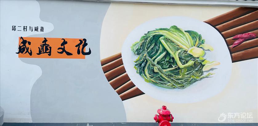 看到了一组非常接地气的墙上宣传画,很有当地的特色