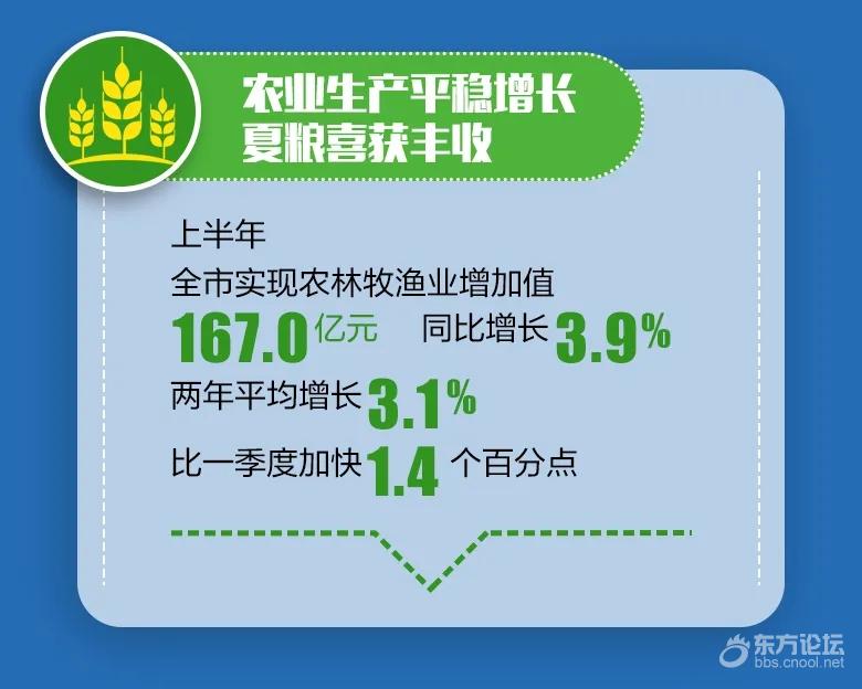 6640.6亿元!宁波经济半年报发布
