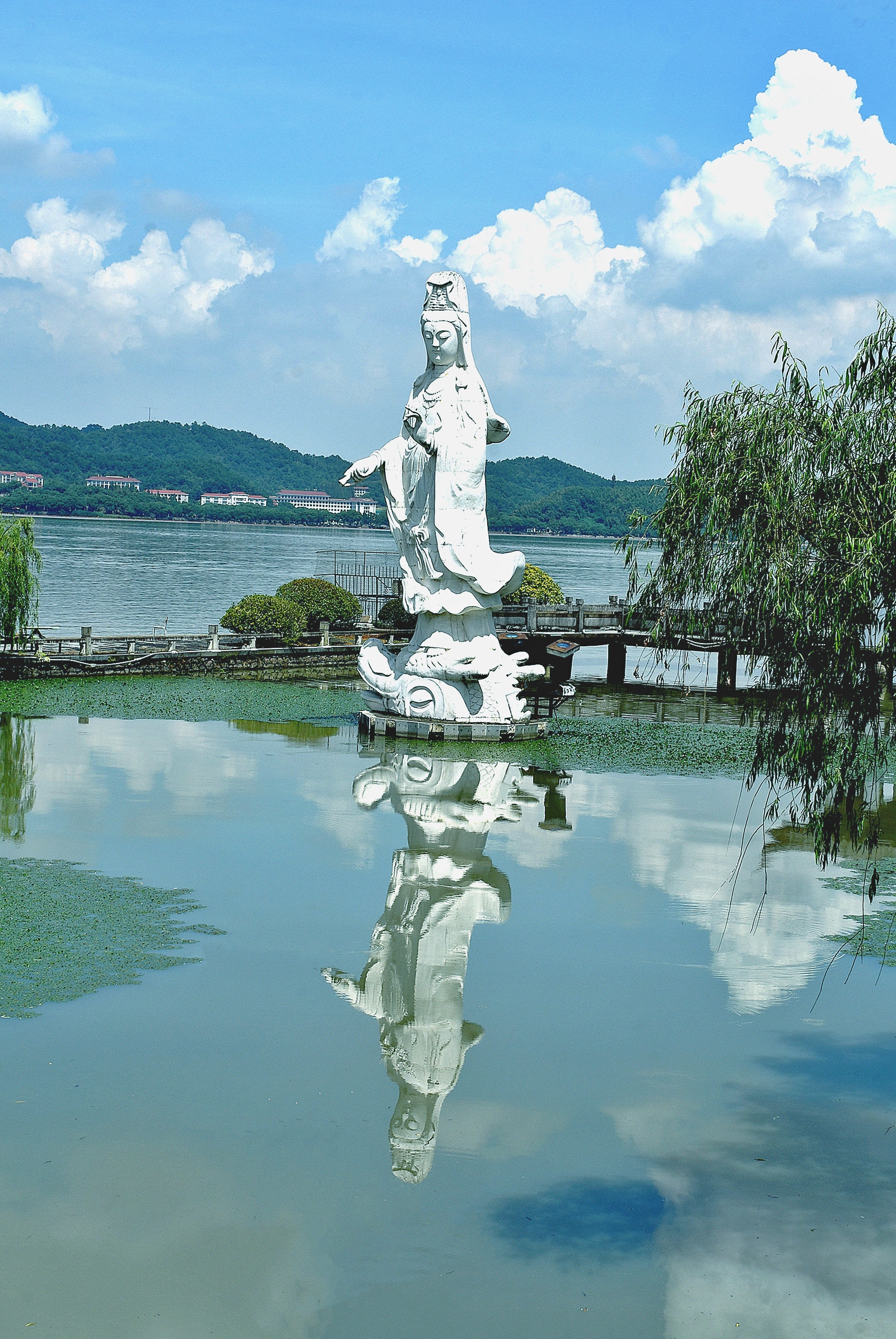 东钱湖小普陀随拍复制