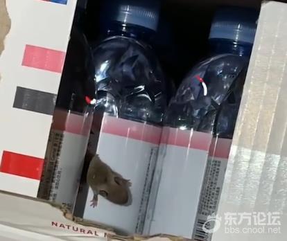 女子网购矿泉水出现2只活老鼠 天猫超市:退款退货并赔偿20元购物卡
