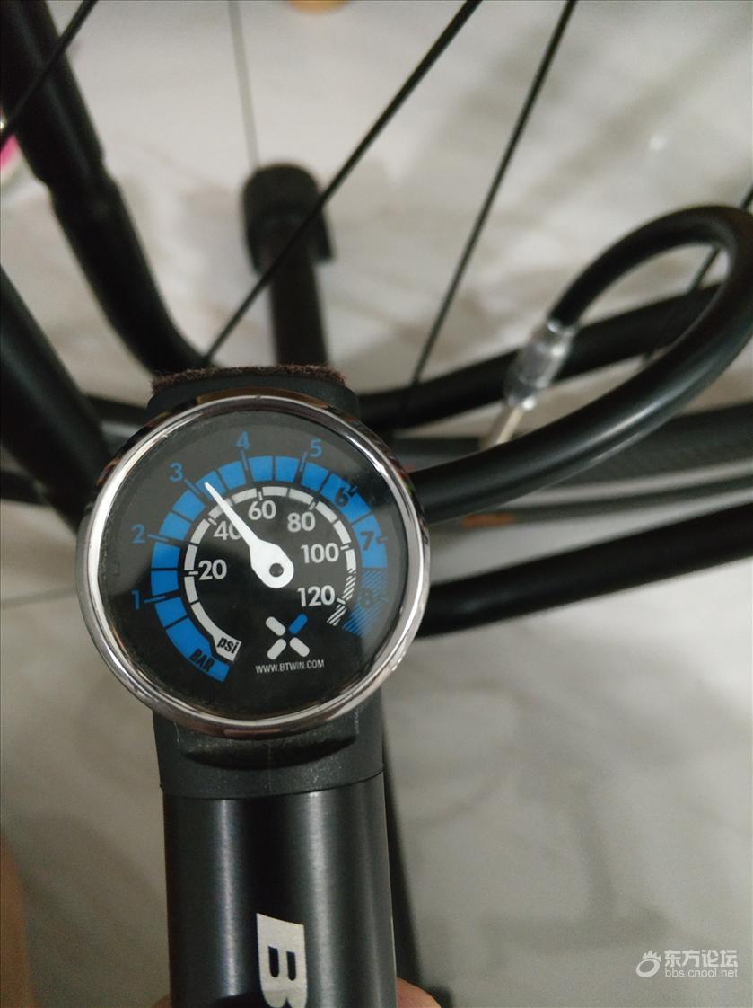 周六不忙骑行岗墩,推车上去杂草横生,还迷路了。