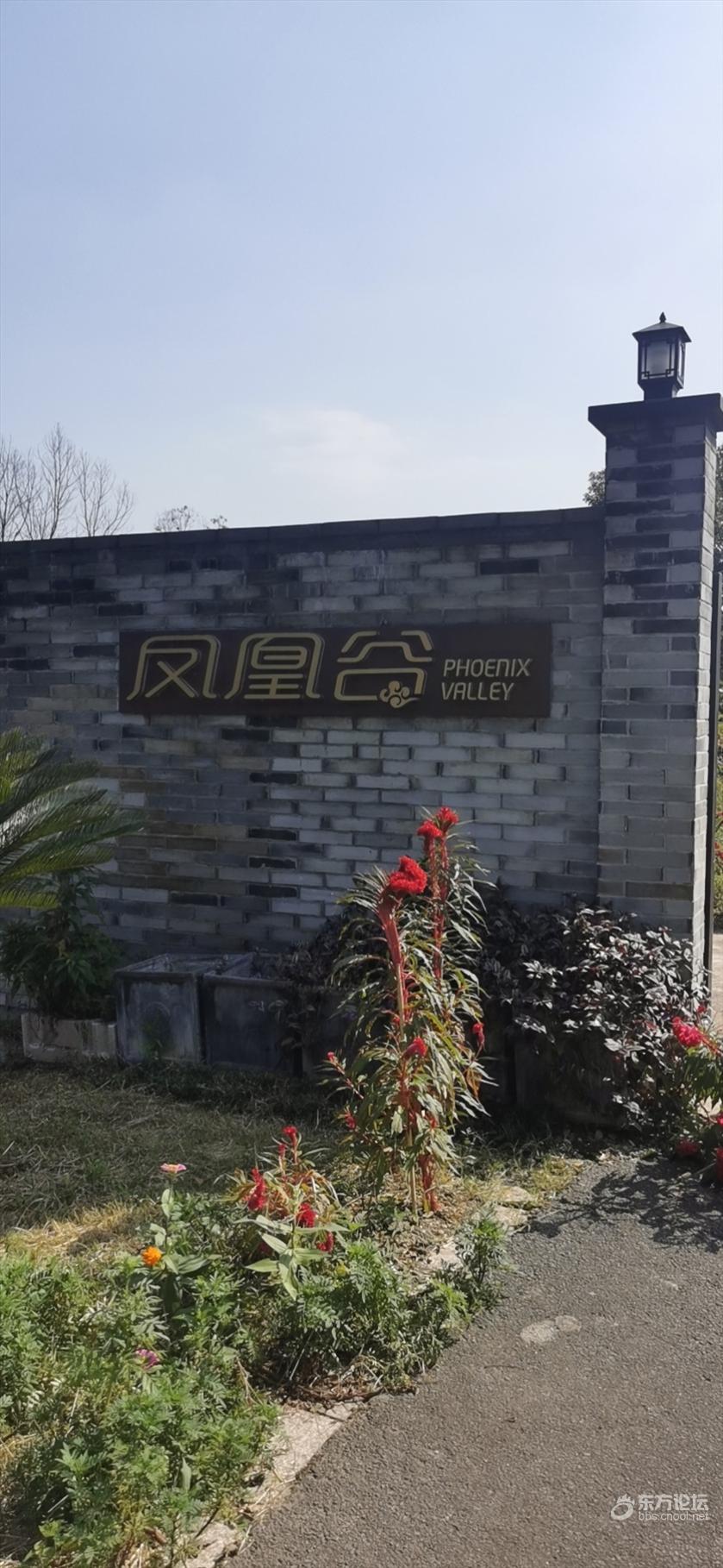凤凰谷怎么了?房价不高却空在那里,实地探营