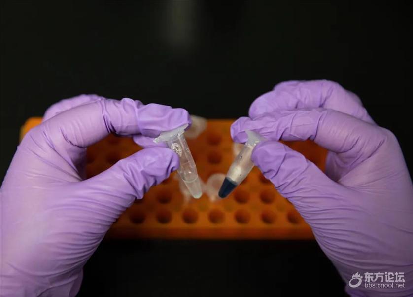 重大突破!我国科学家首次实现