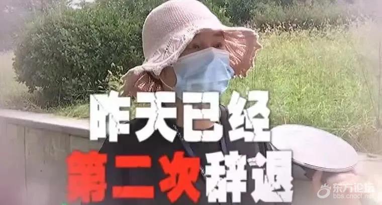 女子怀孕七个月,被公司称没产假劝退?网友热议