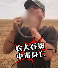 俄罗斯农夫表演吞蛇被咬后毒发身亡