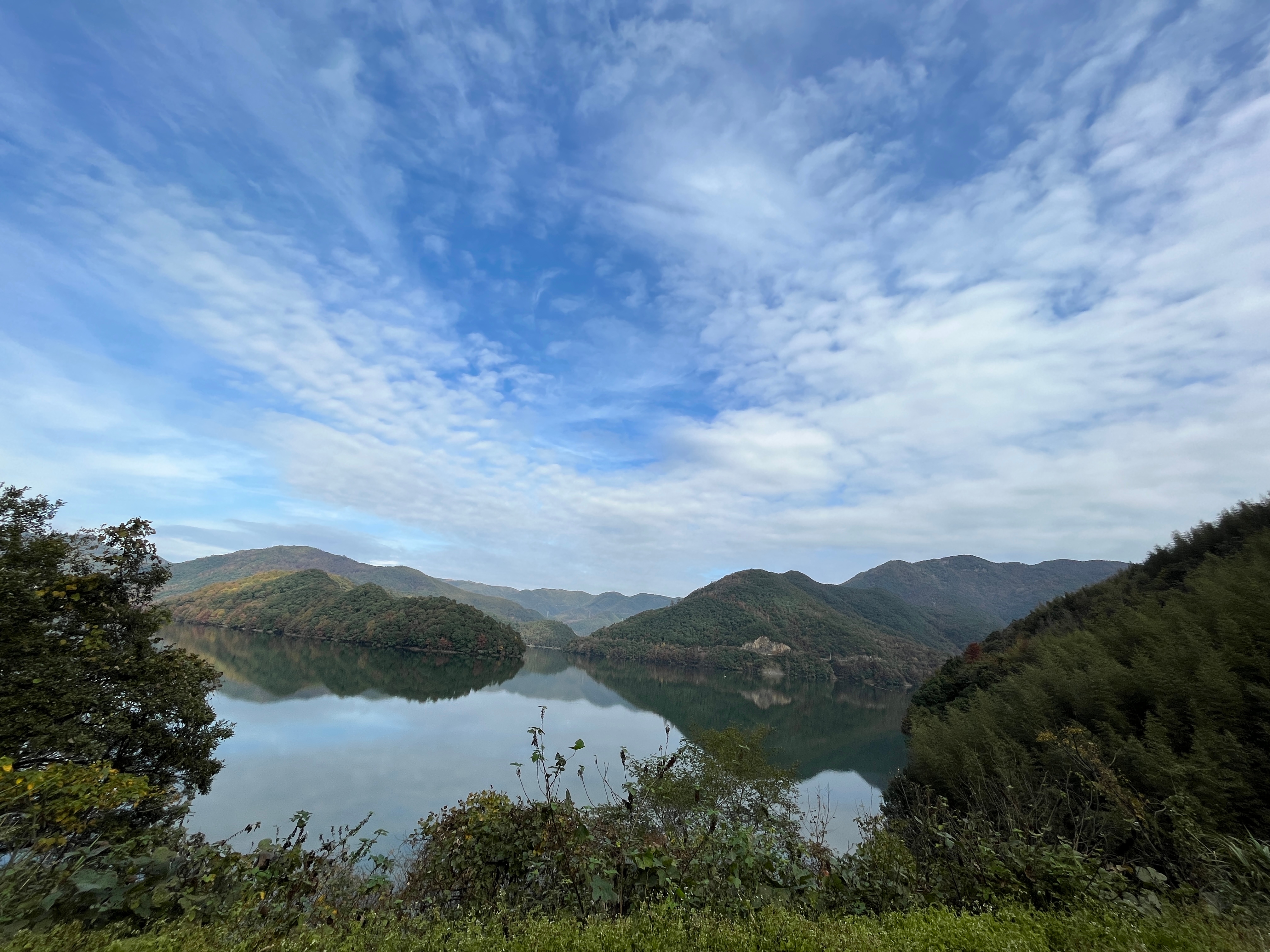 美丽的皎口水库