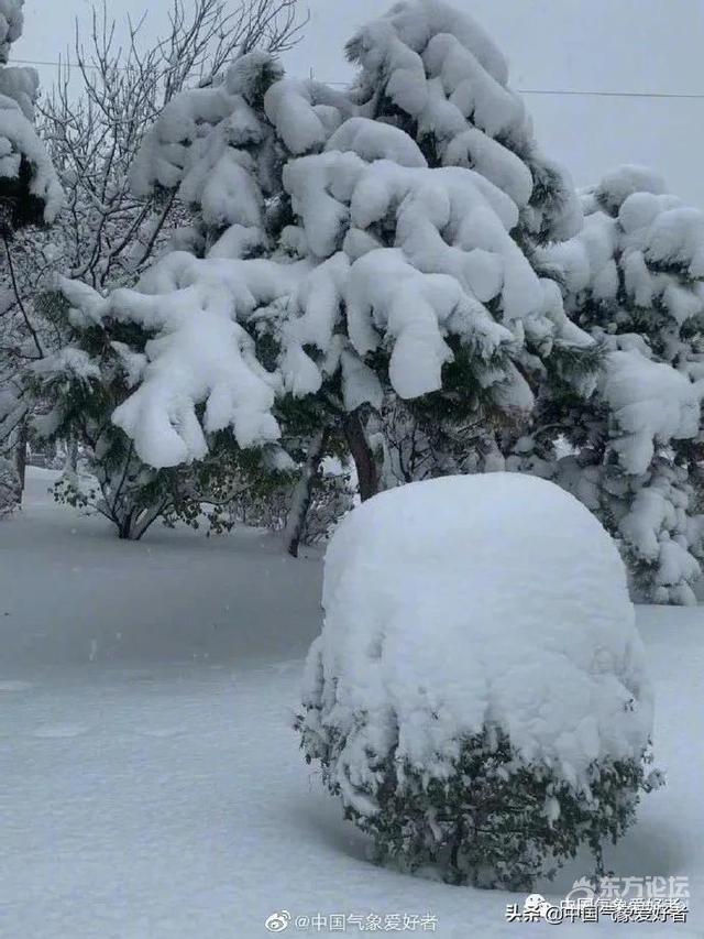 东北下雪了,宁波的雪何时来?下点头皮屑就往商量岗跑