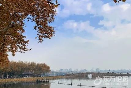 小情侣游西湖突发奇想,结果尴尬了!严肃提醒:天气再好,也不能这样做...