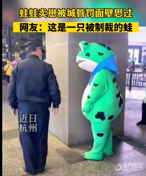 网红“卖崽青蛙”上海“落网”！罚还是不罚？官方回应