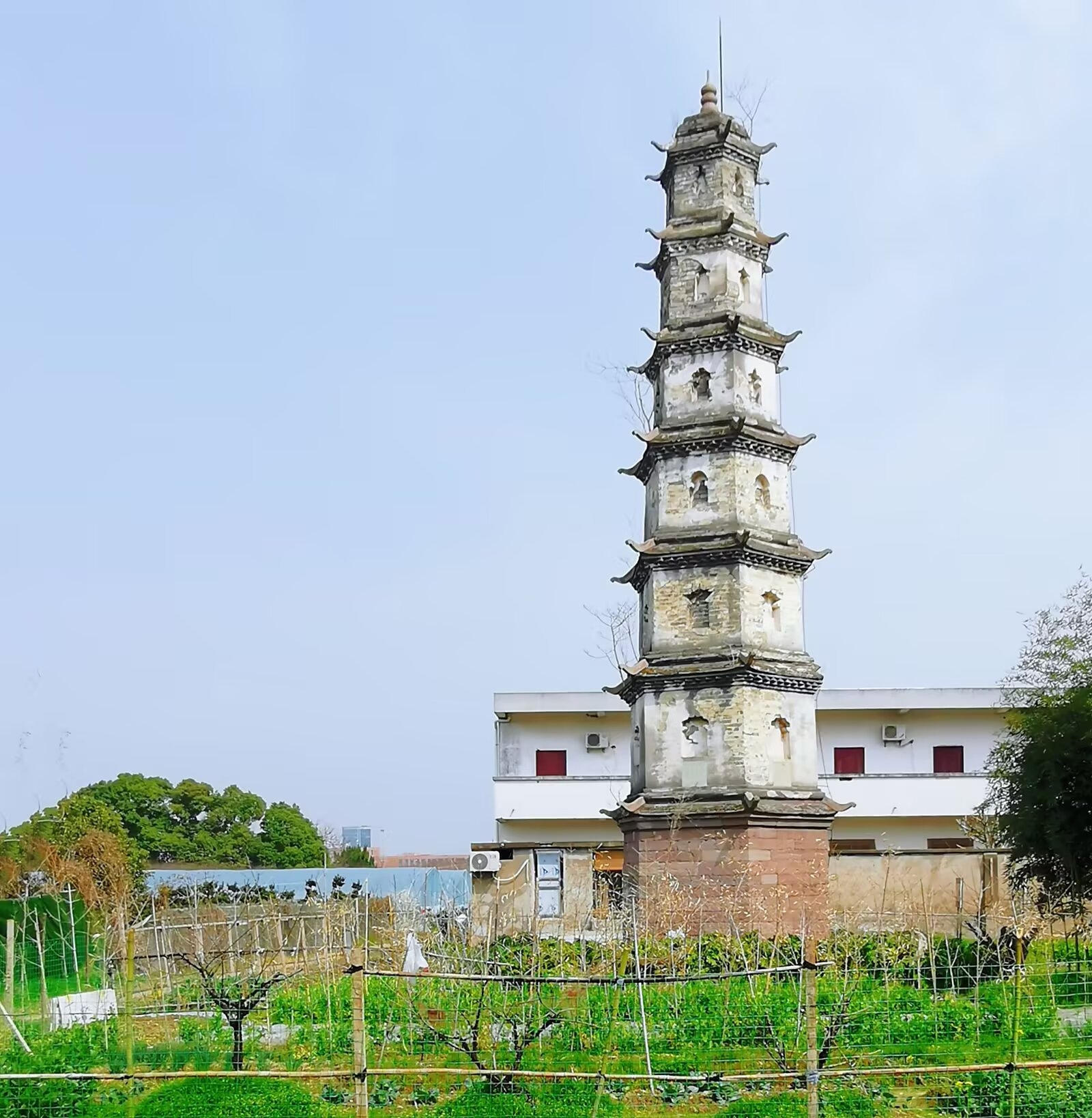 古塔之奇:矗立在农田上的万元塔,见证着岁月变迁
