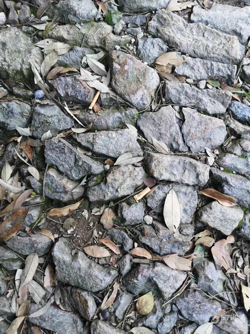 登山的路上看到了好多丢弃的烟蒂,很不好的行为