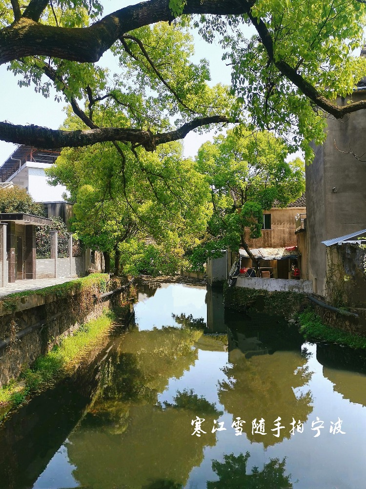 奉化洪溪承载着历史的厚重与岁月的温柔,充满故事