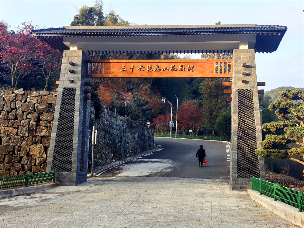 三十六湾高山花园村游历记,全国著名的花木专业村