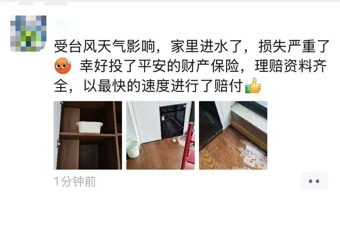 家财险点赞1